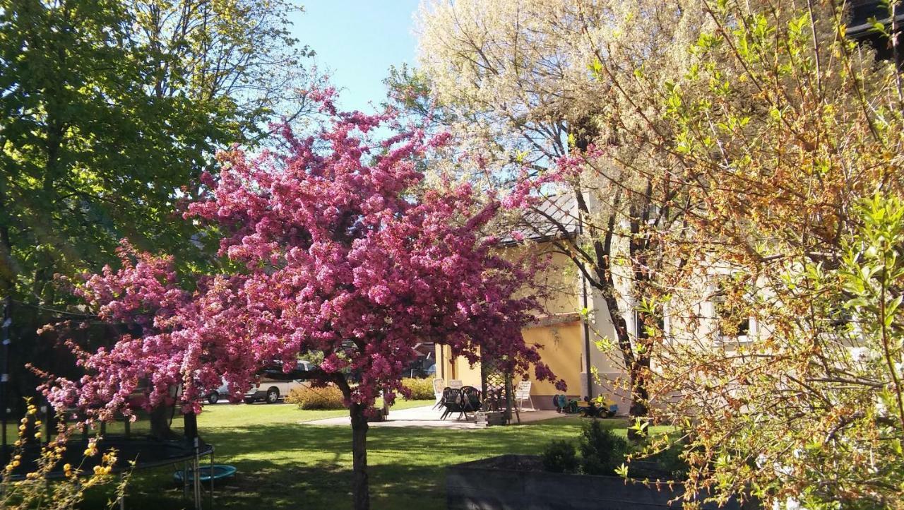 Luise Wehrenfennig & Haus Eva Hotel Bad Goisern Luaran gambar